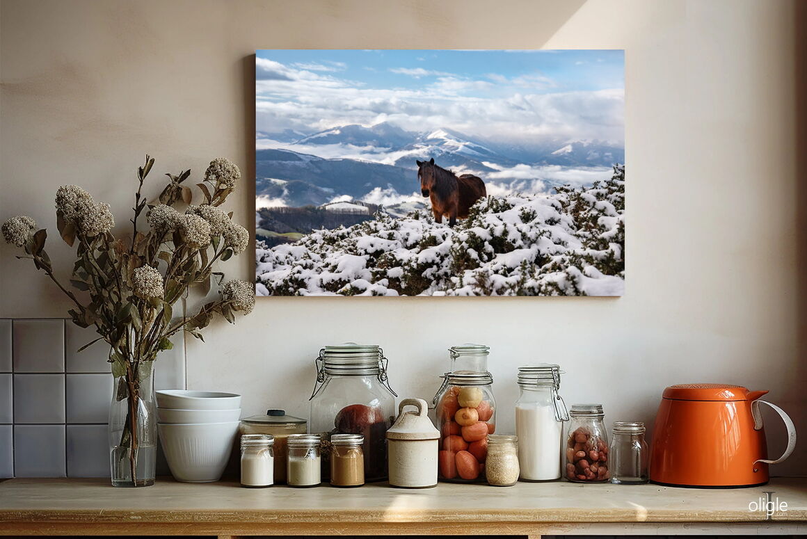 Exemple pottok boutique