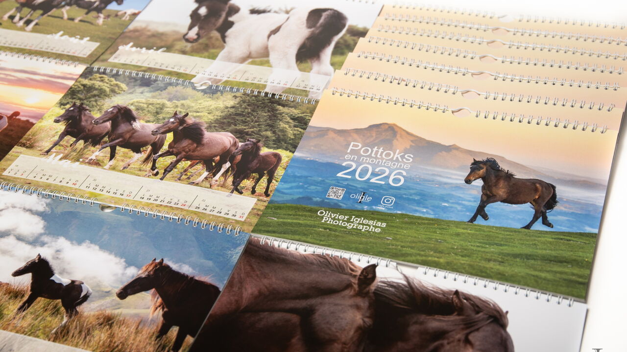 Calendrier Pottoks
