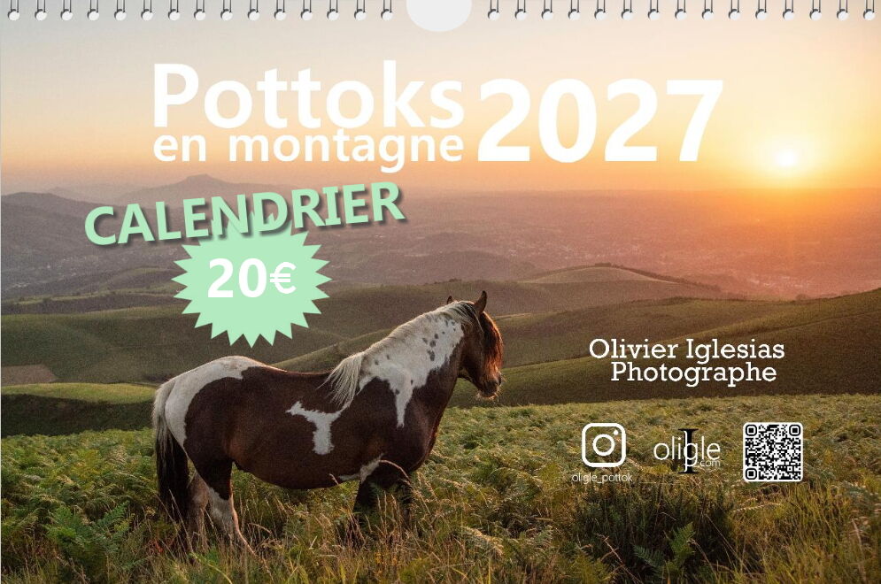 Calendrier Pottok 2027