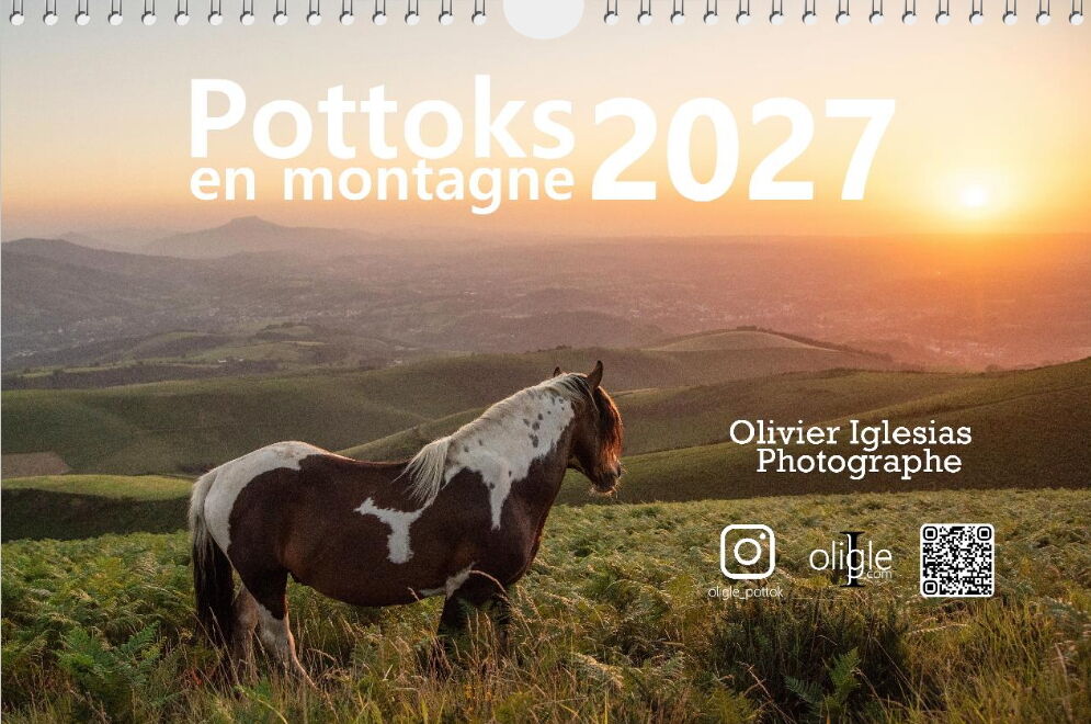Calendrier Pottok 2027