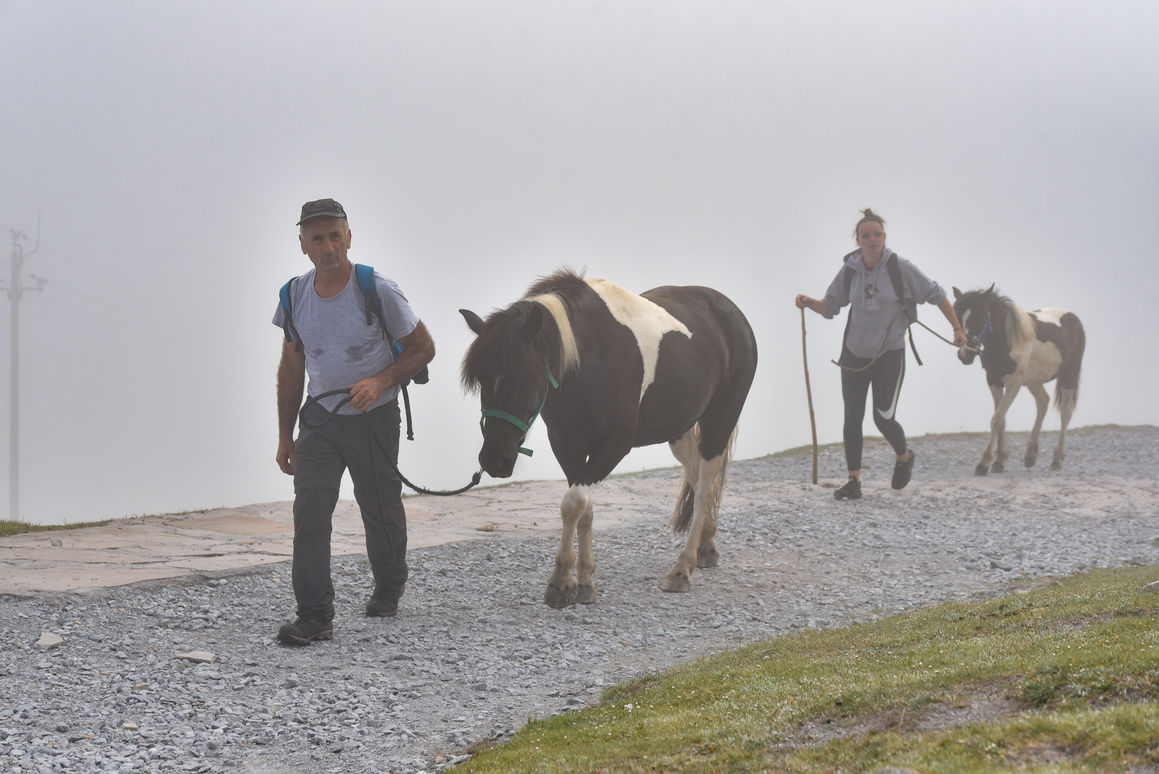 La Rhune Pottok