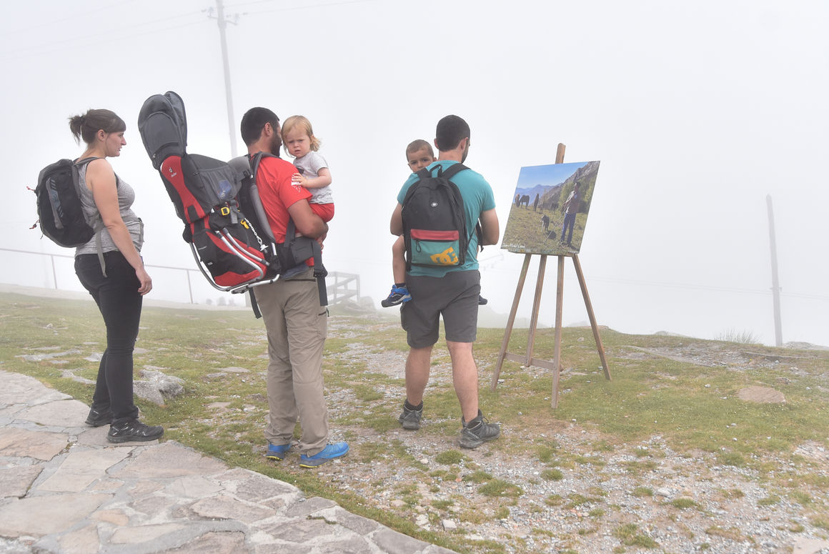 La Rhune Pottok