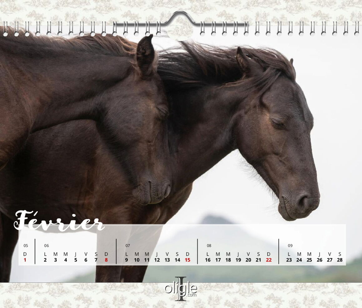 Calendrier Pottoks Février