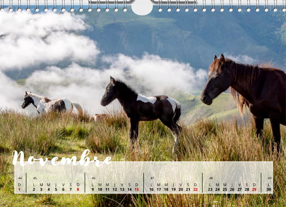 Calendrier Pottoks