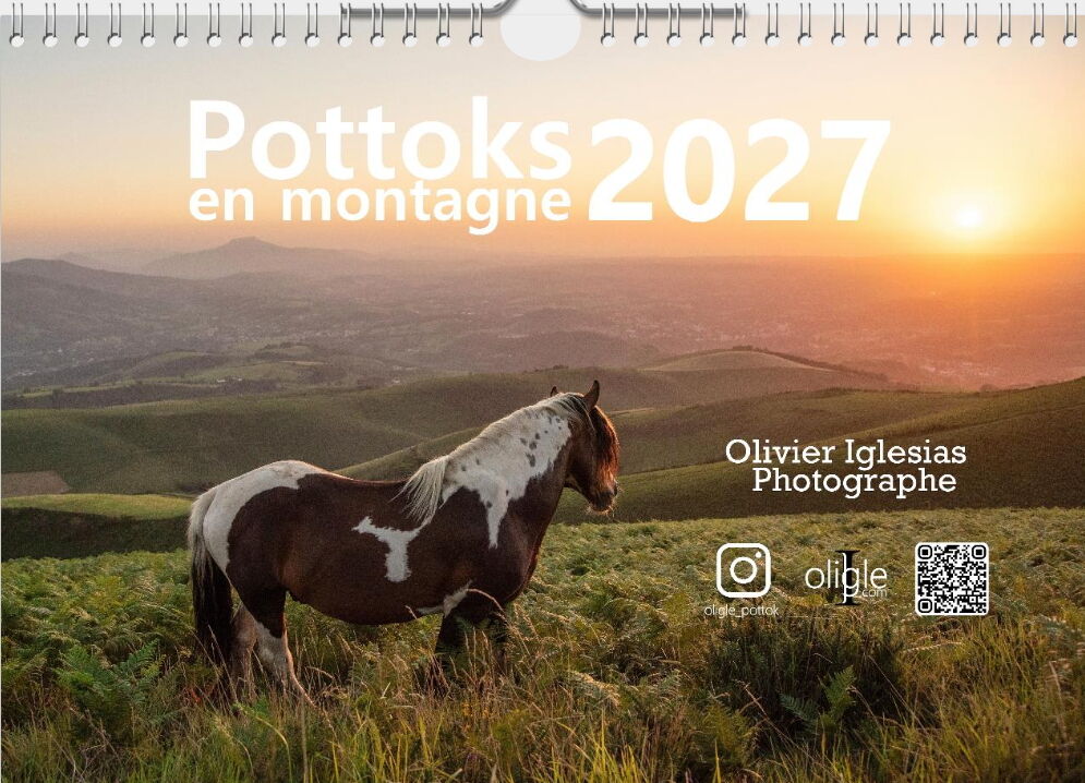 Pottok Pottoka