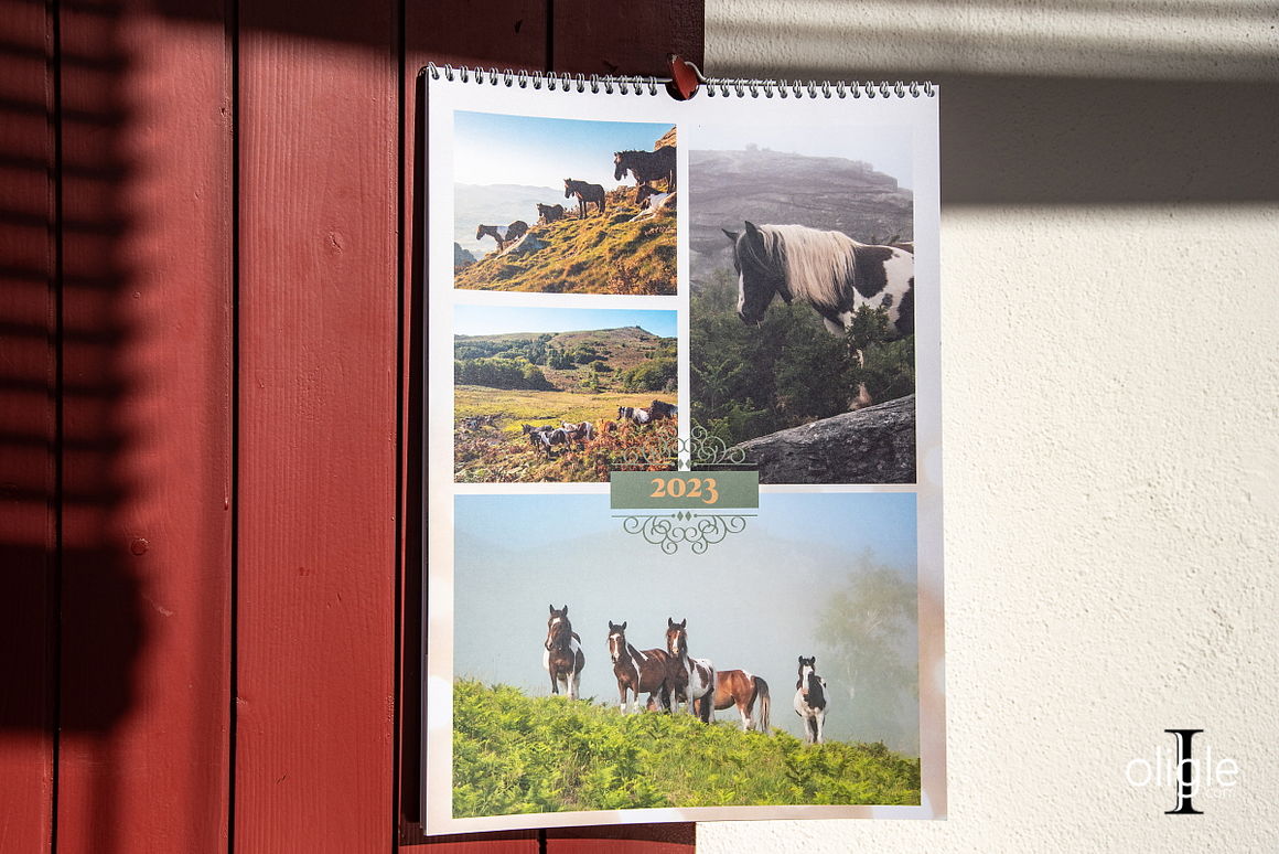 calendrier pottok