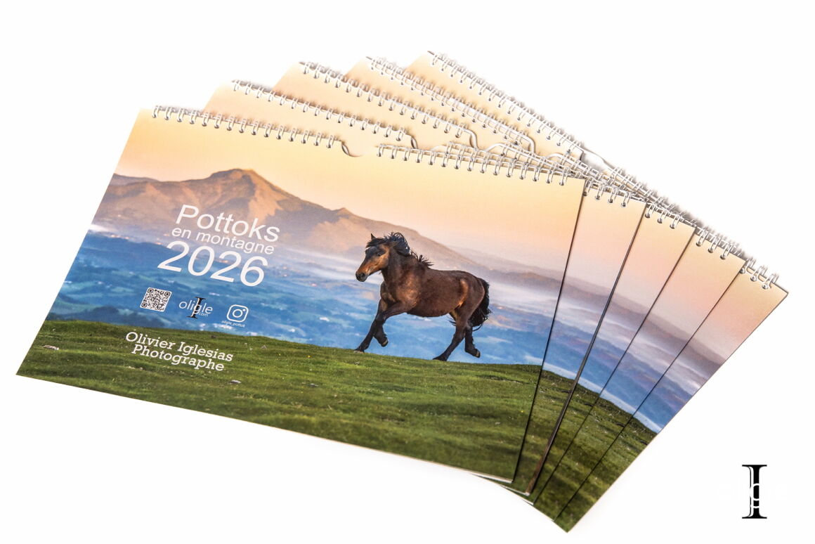 Calendrier Pottoks