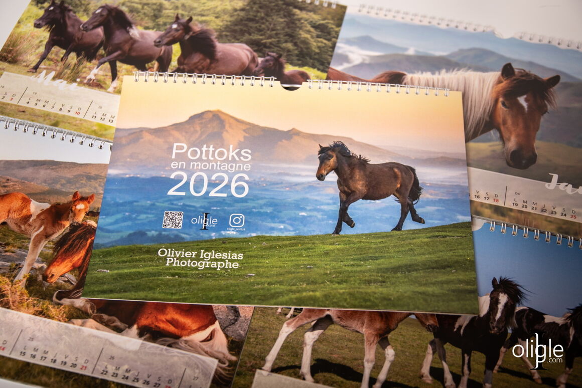 Calendrier Pottoks
