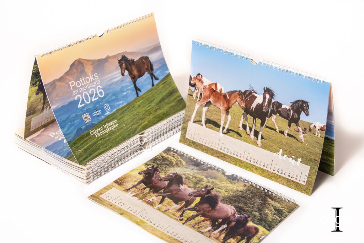 Calendrier Pottoks