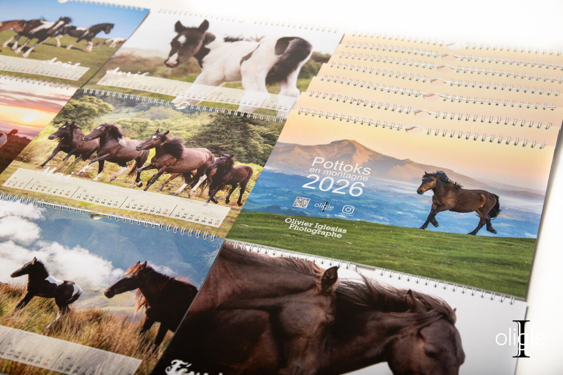 Calendrier Pottoks