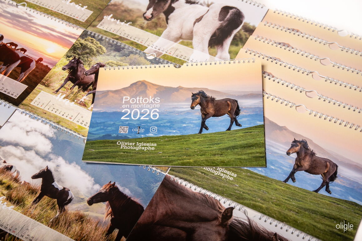 Calendrier Pottok