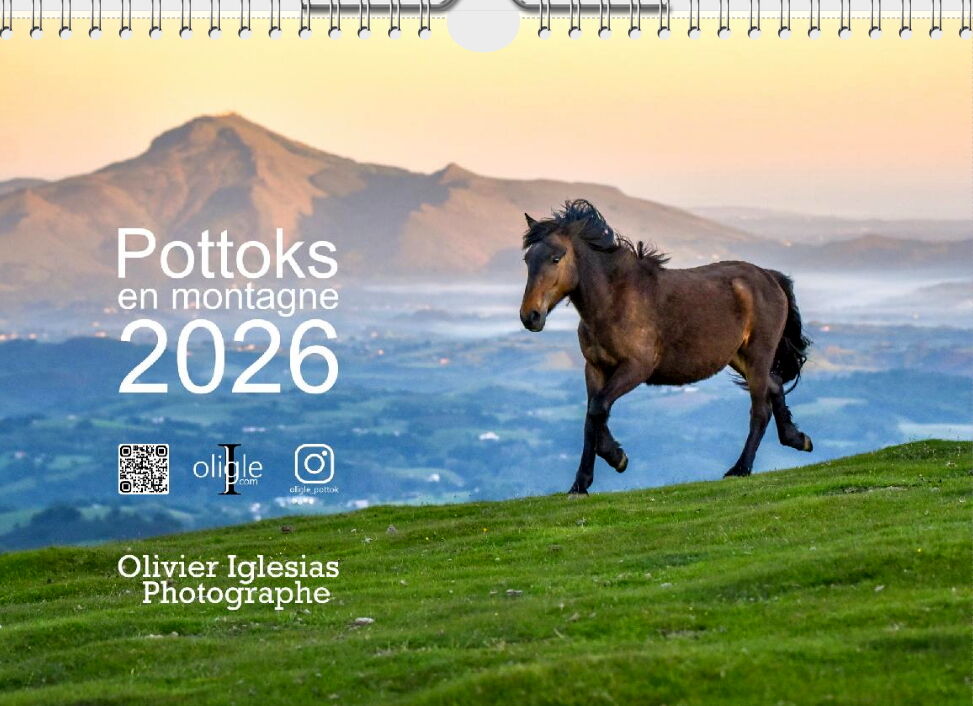 Calendrier Pottoks
