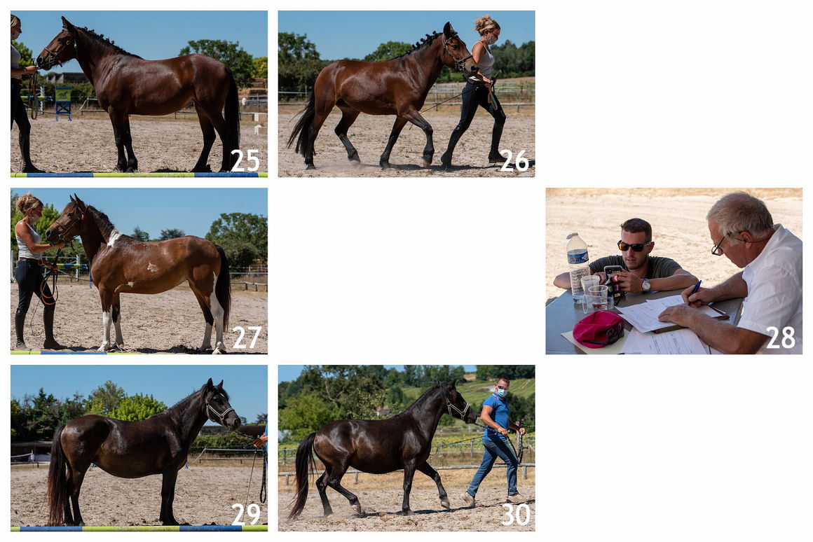 CONCOURS<br />Modèle et allures<br />Nérac (47)