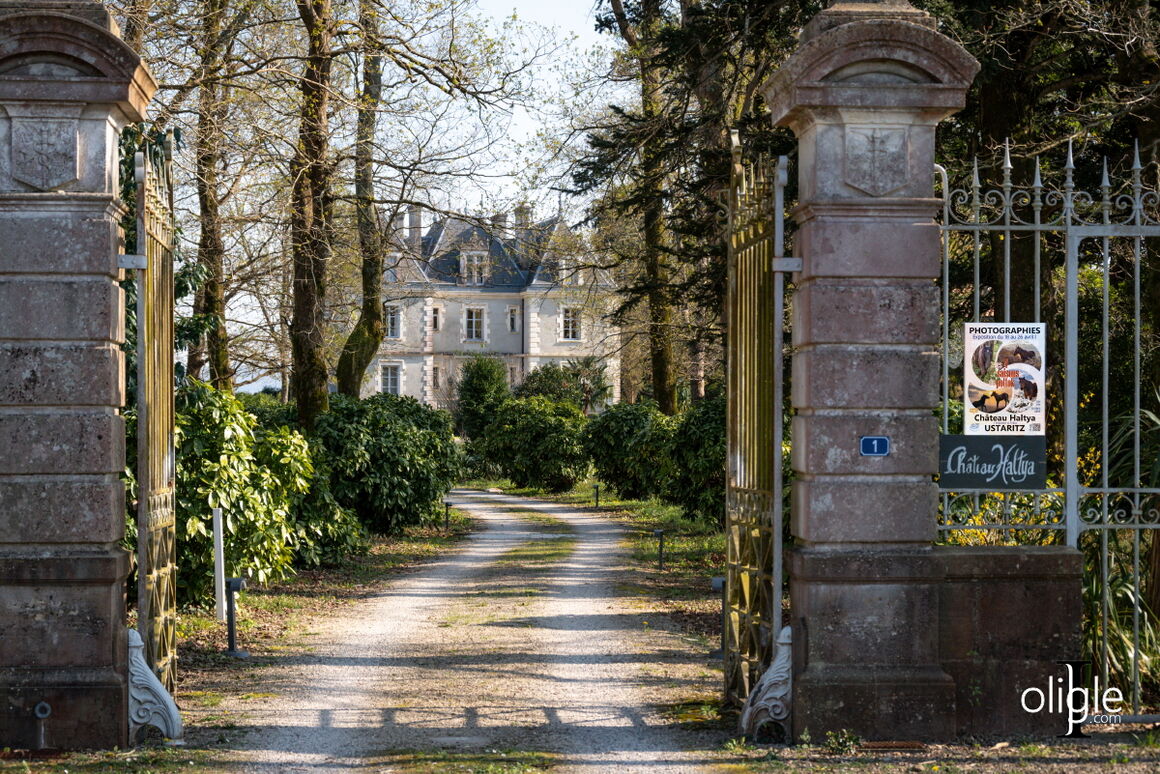 Château Haltya