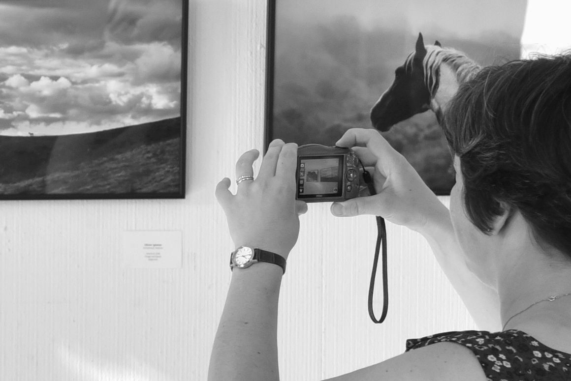 Exposition<br />Nive-Nivelle EN VUES<br />Eté 2019