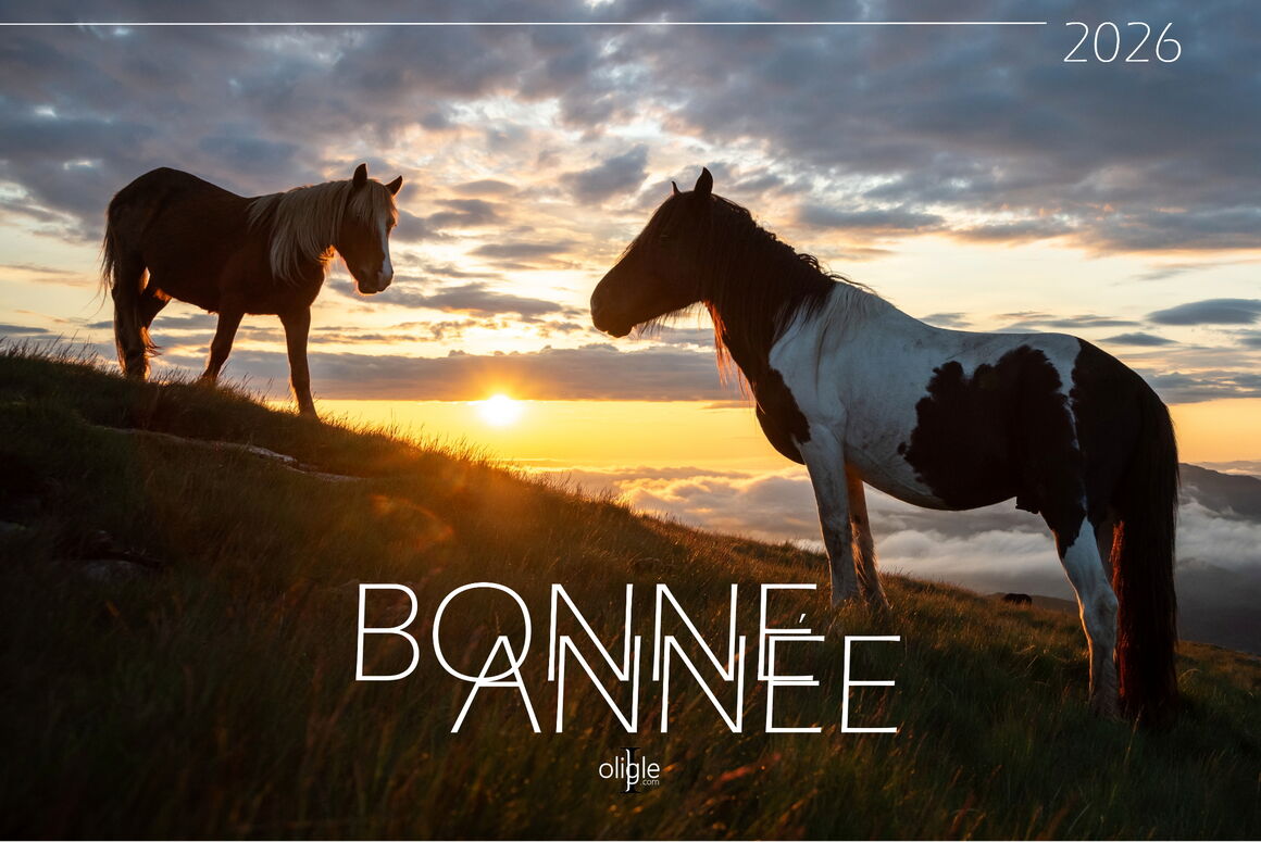 Voeux 2026 Artzamendi