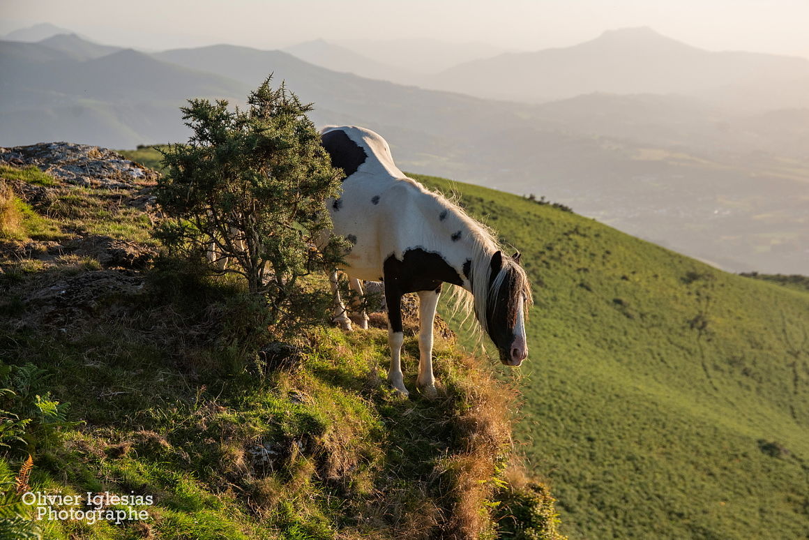 Un soir d'été<br />Mont URSUIA