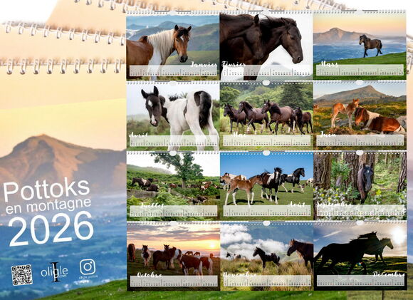 Calendrier Pottoks