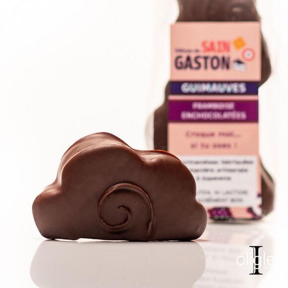 Les délices de Sain Gaston