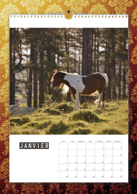 calendrier pottok