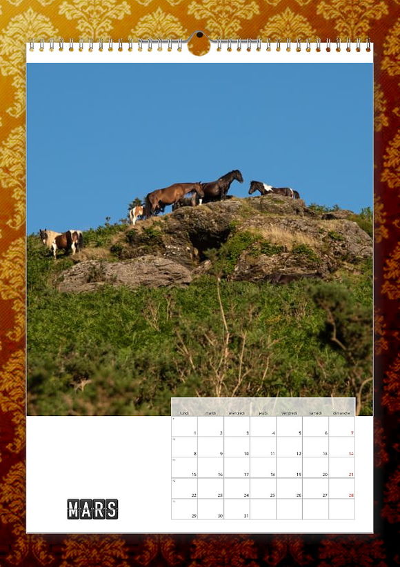 calendrier pottok