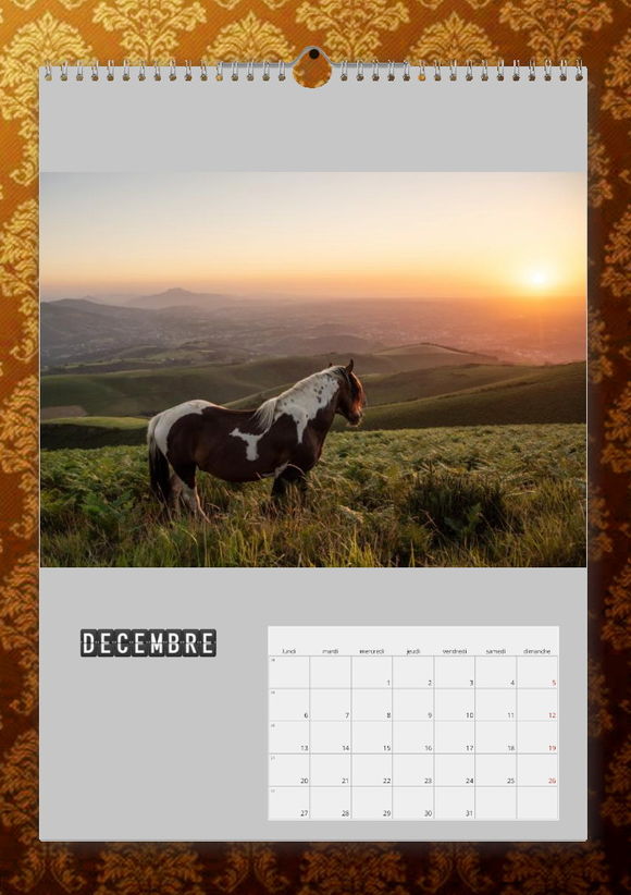 calendrier pottok