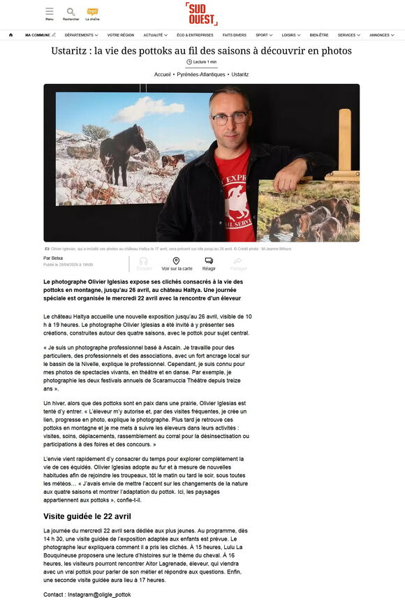 Exposition<br />Les 4 saisons du pottok<br />Château Haltya