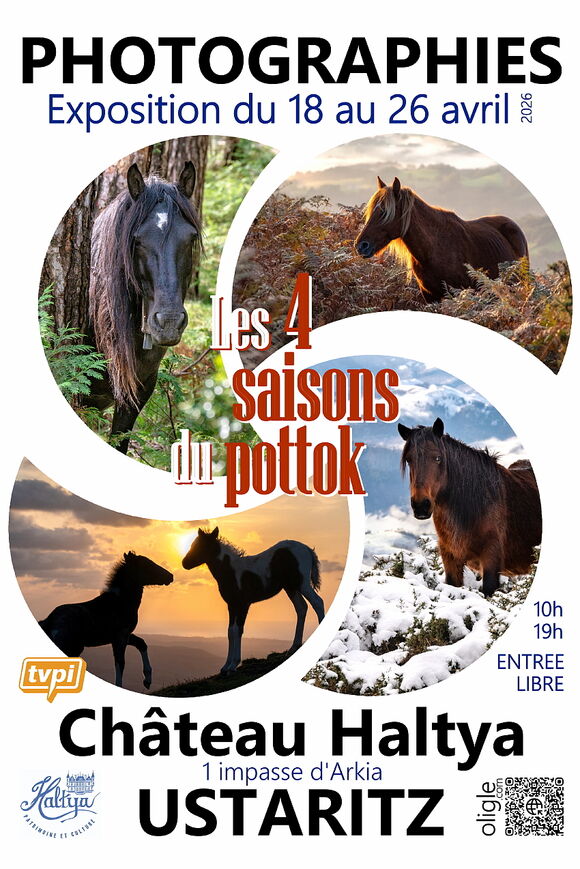 Château Haltya
