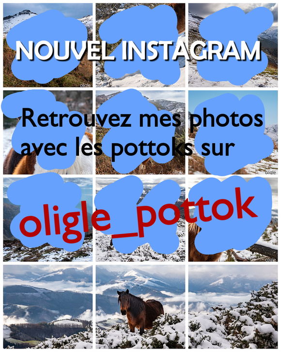 Instagram<br />oligle_pottok