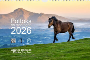 Calendrier Pottoks